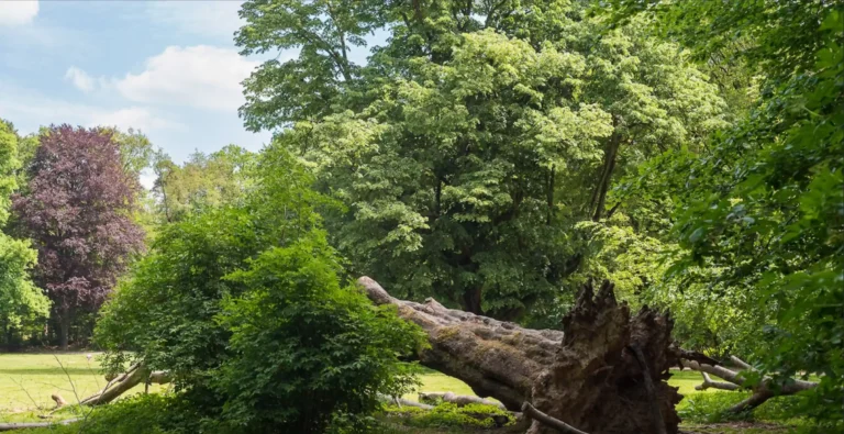 Eindhovens Dagblad interview afbeelding